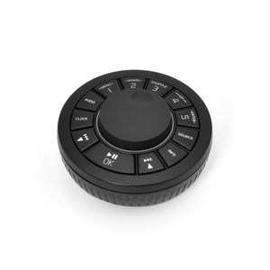 Remote Control for R4i
